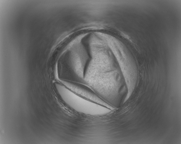 X0000052931448200507292340