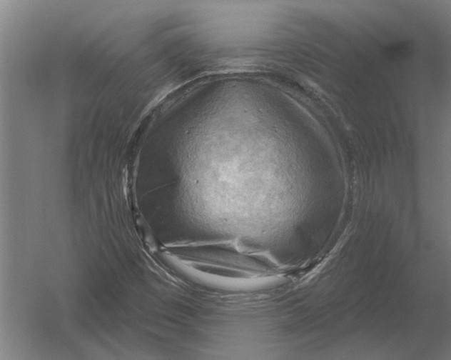 X0000052931449200507292340