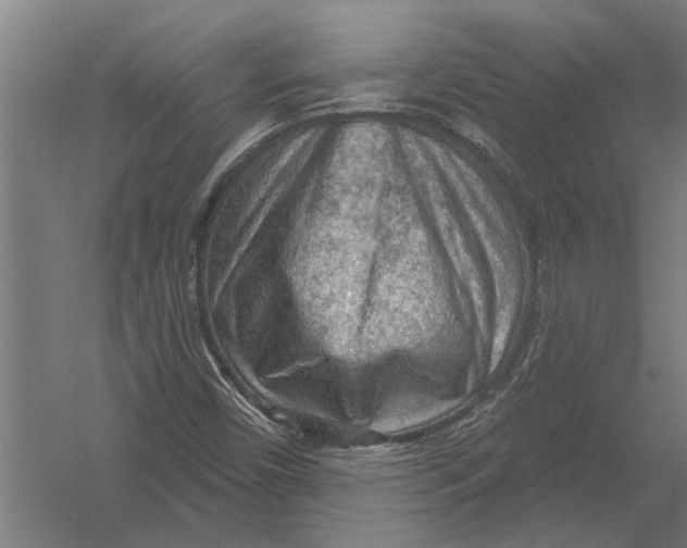 X0000052931450200507292340