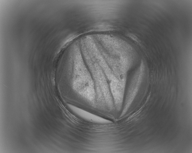 X0000052931451200507292340