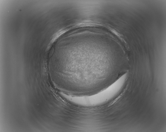 X0000052931453200507292340