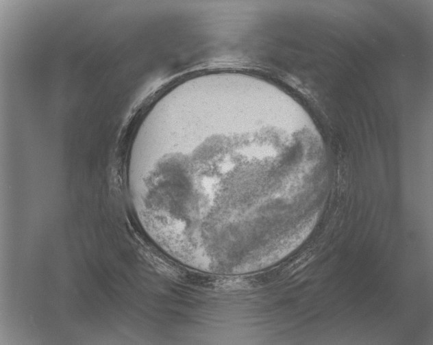 X0000052931454200507292339