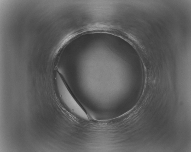 X0000052931455200507292339