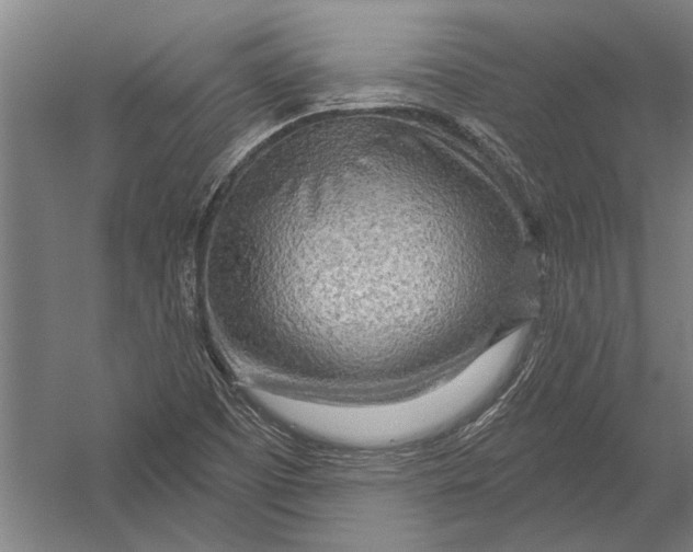 X0000052931457200507292339