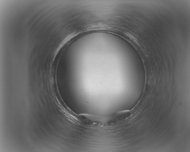 X0000052931458200507292339