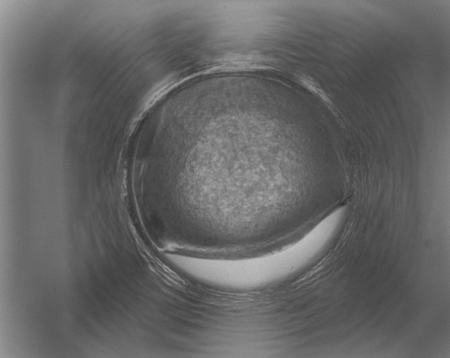 X0000052931459200507292339