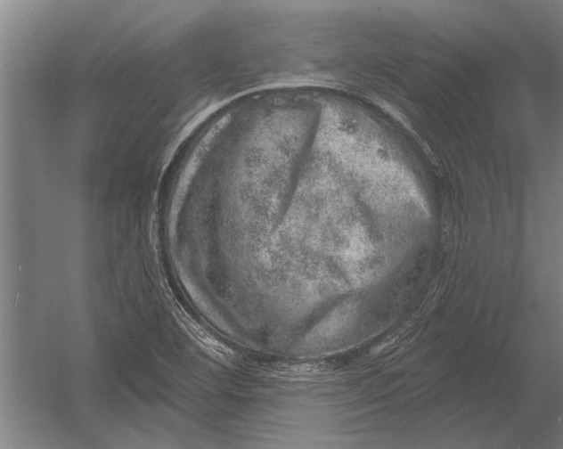 X0000052931460200507292339