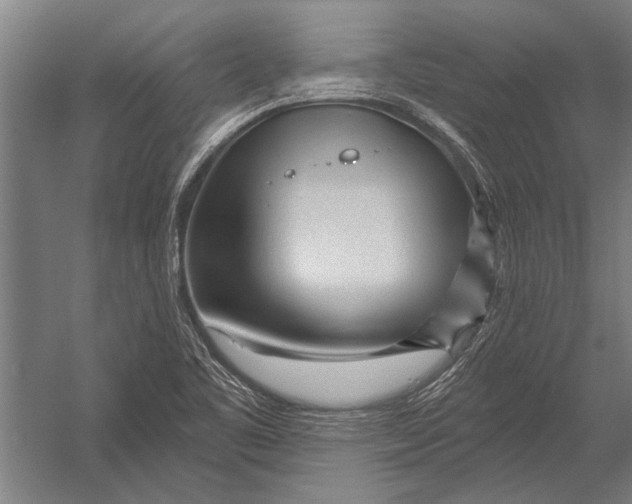 X0000052931461200507292339