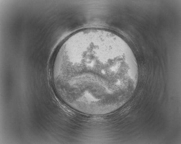 X0000052931462200507292339