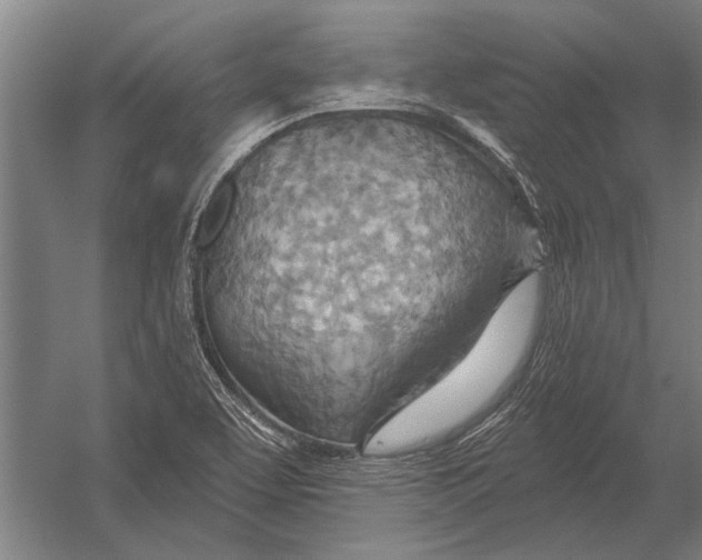 X0000052931463200507292339