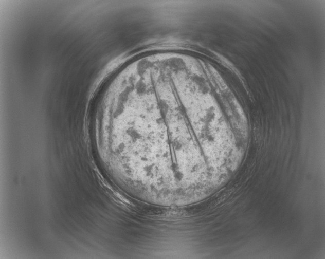 X0000052931464200507292339