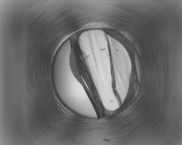 X0000052931465200507292339