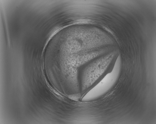 X0000052931467200507292339