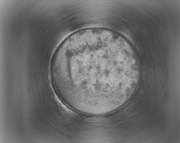 X0000052931468200507292339