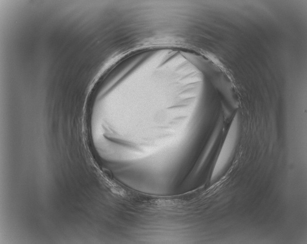 X0000052931469200507292339