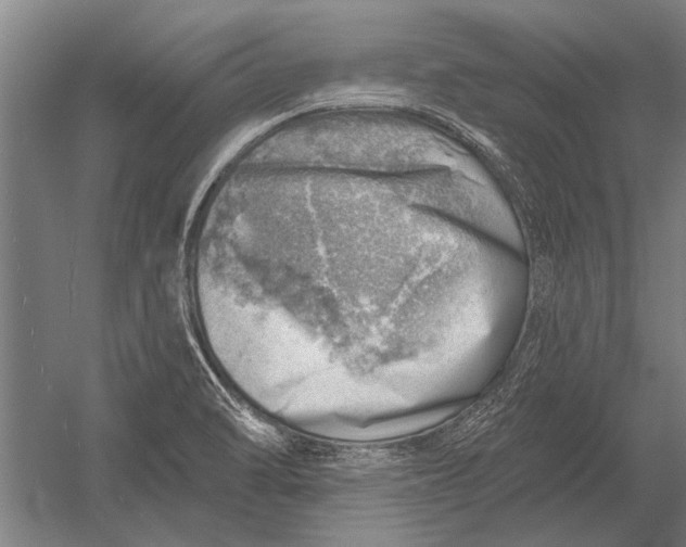 X0000052931470200507292339