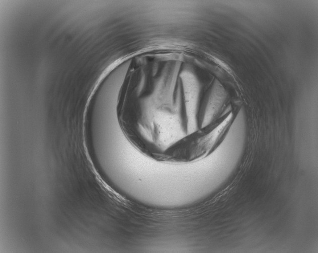 X0000052931471200507292339