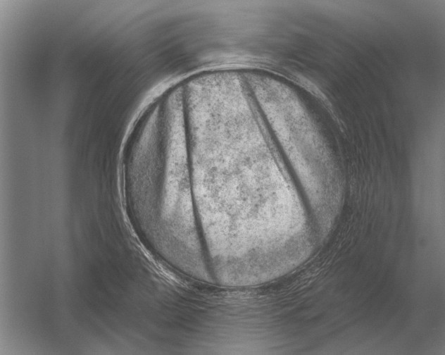 X0000052931472200507292339