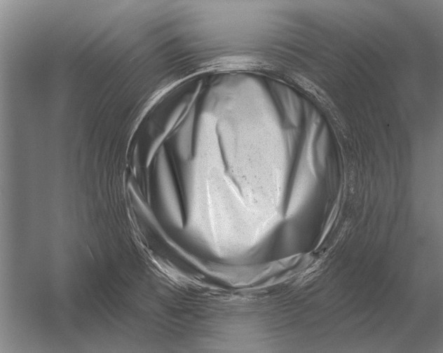 X0000052931473200507292339