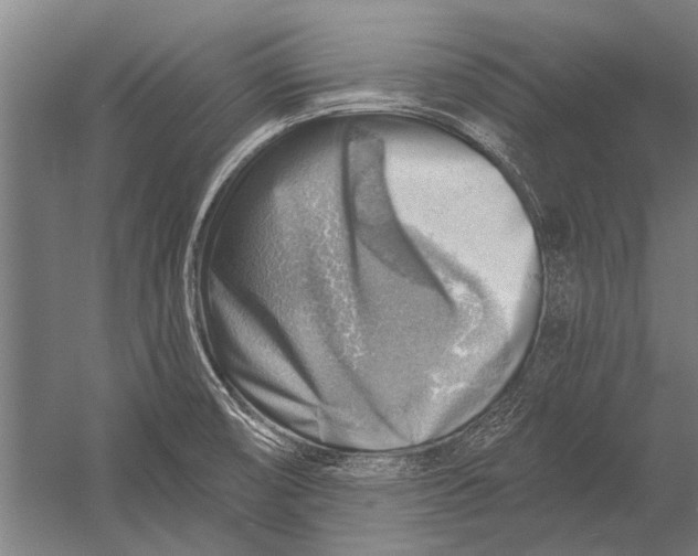 X0000052931474200507292339