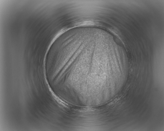 X0000052931475200507292339