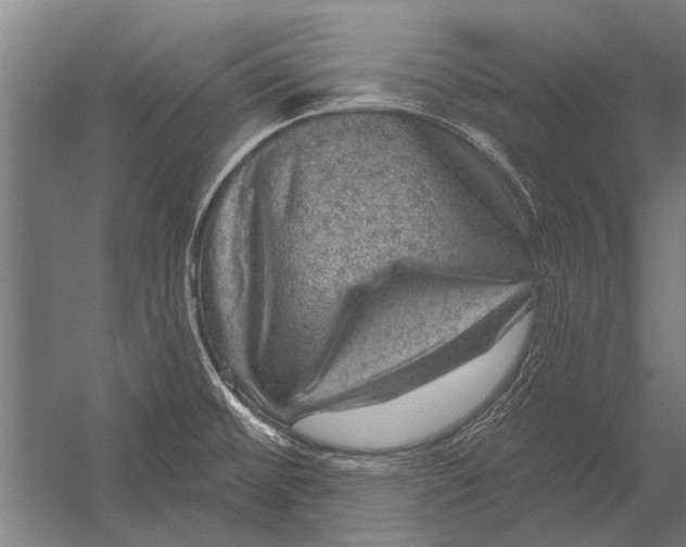 X0000052931476200507292339