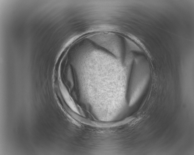 X0000052931477200507292339