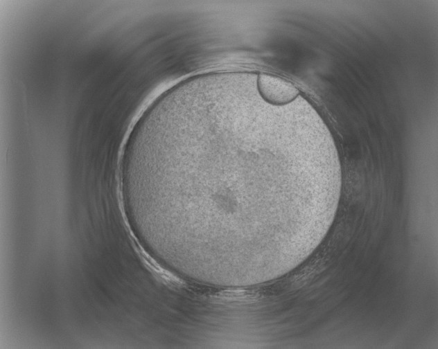 X0000052931478200507292339