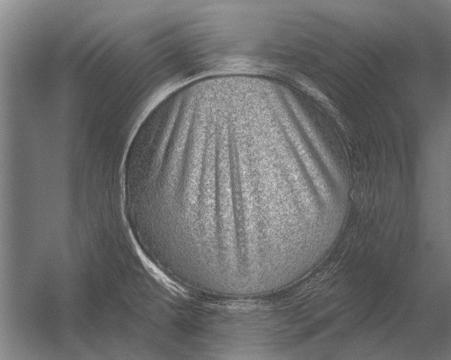 X0000052931479200507292339