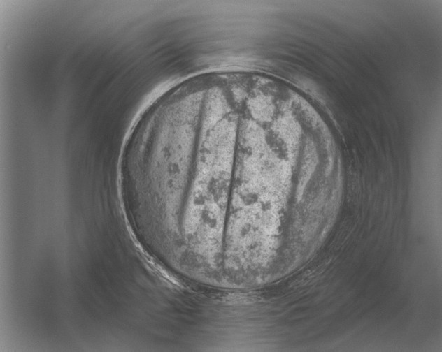 X0000052931480200507292339