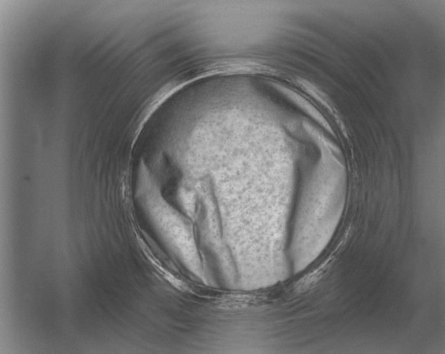 X0000052931481200507292339