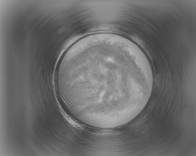 X0000052931482200507292339