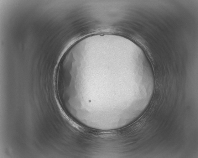 X0000052931483200507292339