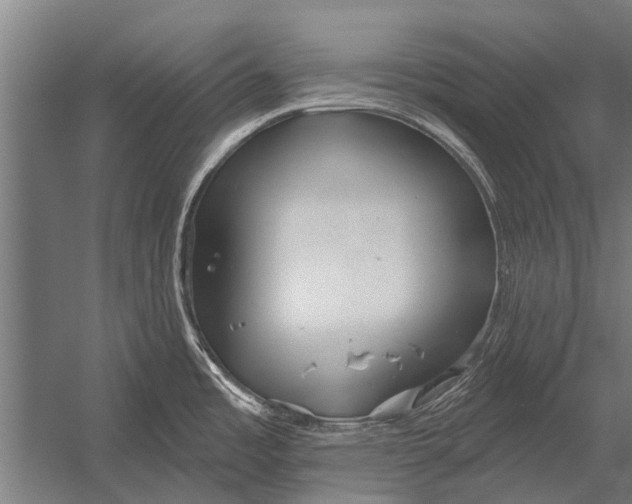 X0000052931485200507292339