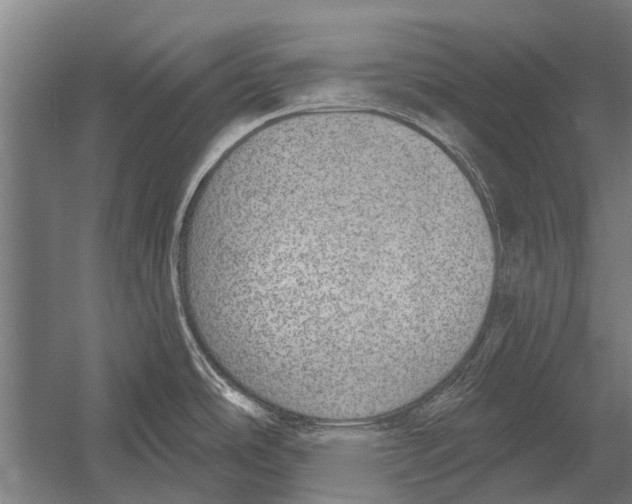 X0000052931486200507292339