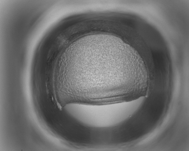 X0000052931487200507292339