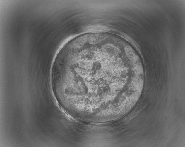 X0000052931488200507292339