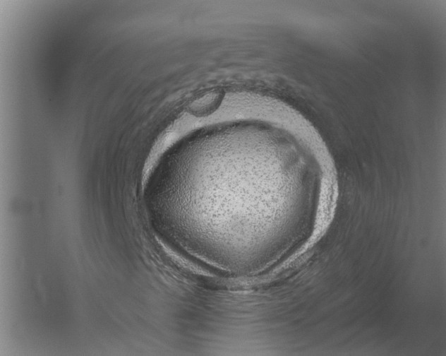 X0000052931489200507292338