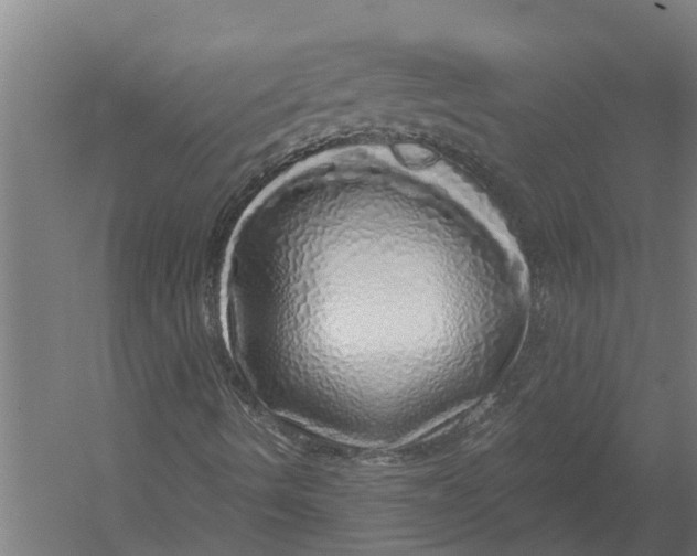 X0000052931490200507292338