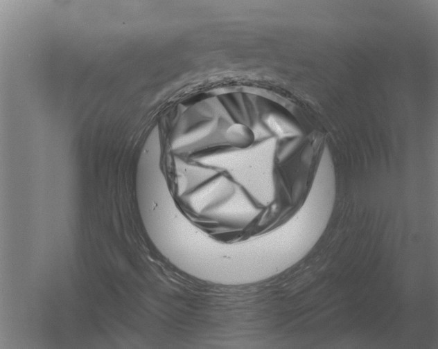 X0000052931492200507292338