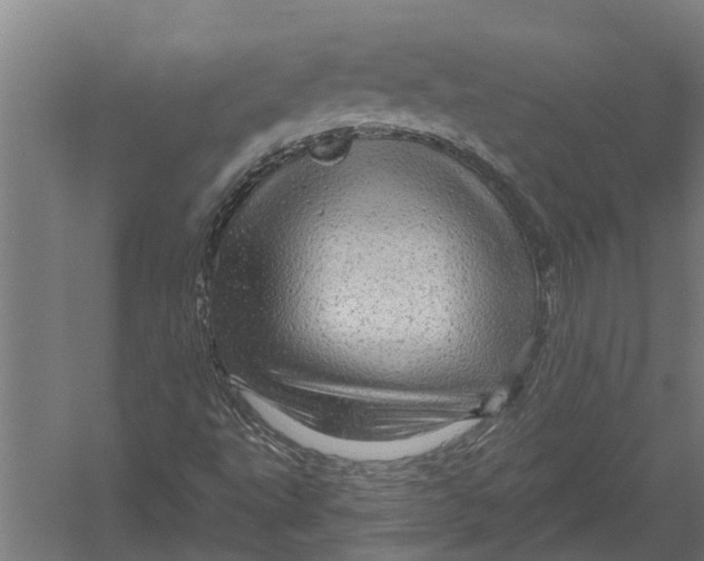 X0000052931495200507292338