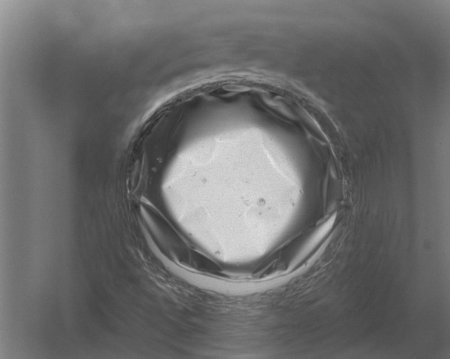 X0000052931496200507292338