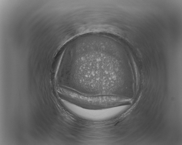 X0000052931497200507292338