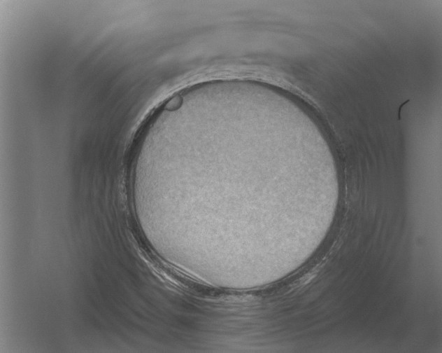 X0000052931498200507292338