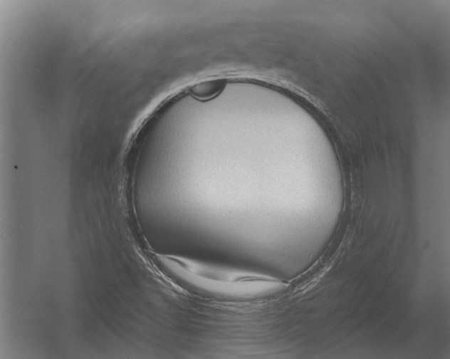 X0000052931502200507292338