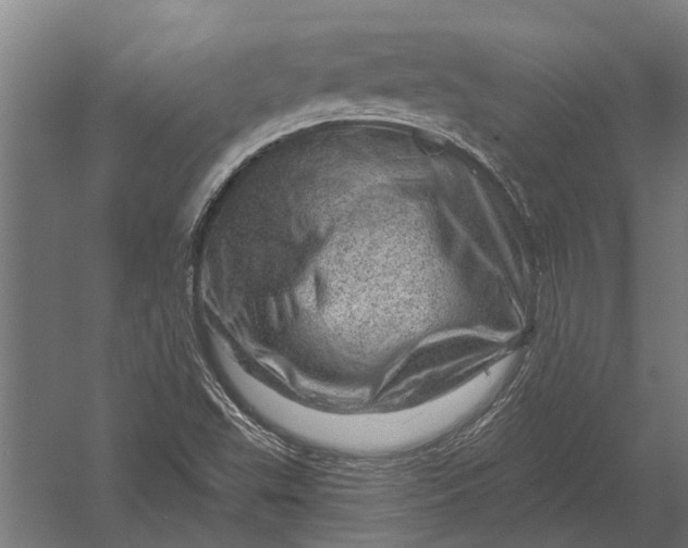 X0000052931503200507292338