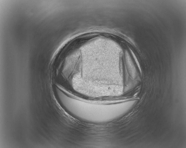 X0000052931504200507292338