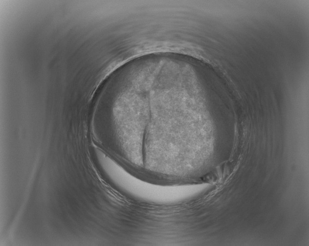 X0000052931505200507292338