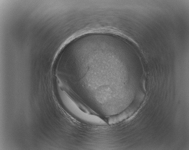 X0000052931506200507292338