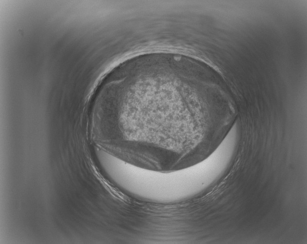 X0000052931507200507292338